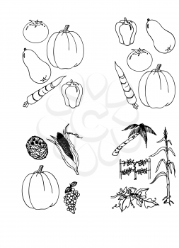 Royalty Free Clipart Image of a Bunch of Food
