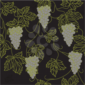 Royalty Free Clipart Image of Grapes on the Vine