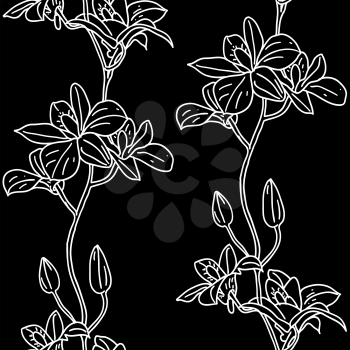 Royalty Free Clipart Image of Orchids