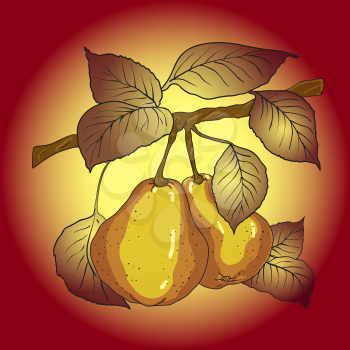Royalty Free Clipart Image of Pears