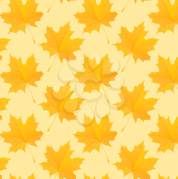 Royalty Free Clipart Image of Maple Leaves