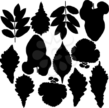 Royalty Free Clipart Image of Silhouettes of Leaves