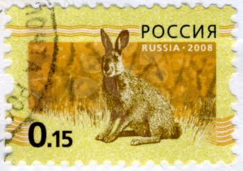 RUSSIA - CIRCA 2008: A stamp printed in RUSSIA showing hare Bunny circa 2008.
