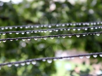 Water drops on wires abreast after a rain shine and sparkle