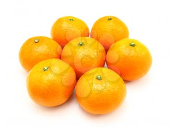 Group a tangerine lie it is isolated on a white background