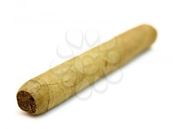 The new big Cuban cigar lies on a white background