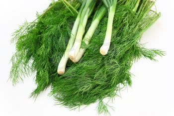 Fresh green dill and onion.