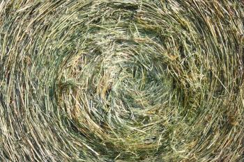 A close-up shot of a large bail of hay