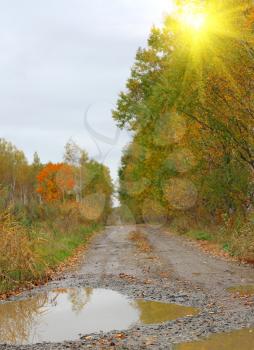 Autumn Landscape and dirt road with a puddle after the rain