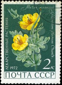 USSR - CIRCA 1972: A stamp printed in USSR show Glaucium flavum, series is devoted to medicinal plants, circa 1972