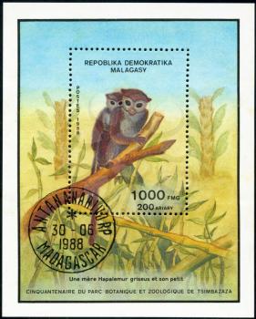 REPULLICA MALAGASY - CIRCA 1988: A stamp printed in Malagasy (Madagascar) shows Lesser Bamboo Lemur - Hapalemur griseus, circa 1988