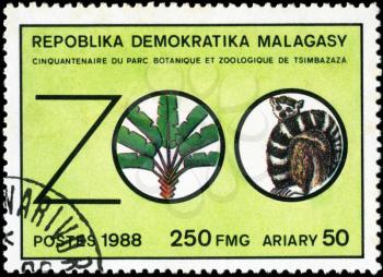 REPULLICA MALAGASY - CIRCA 1988: A stamp printed in Malagasy (Madagascar) devoted Botanical and zoo park Tsimbazaza, circa 1988