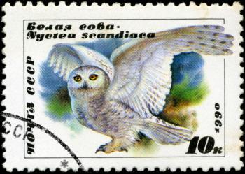 USSR - CIRCA 1990: A stamp printed in USSR showing owl, circa 1990