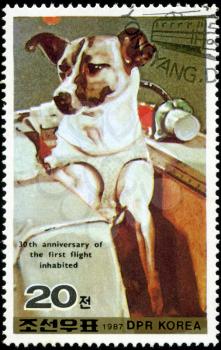 DEMOCRATIC PEOPLE'S REPUBLIC (DPR) of KOREA - CIRCA 1987:A stamp printed in DPR Korea (North Korea) shows Wright 30 anniversary of the first flight inhabited, dog, circa 1987