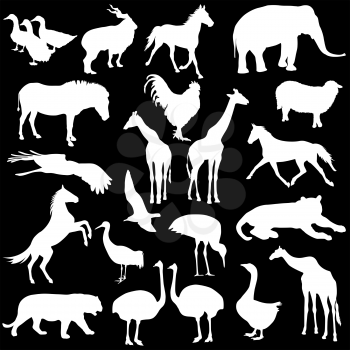 Black set silhouettes  zoo animals collection on white background. Vector illustration.