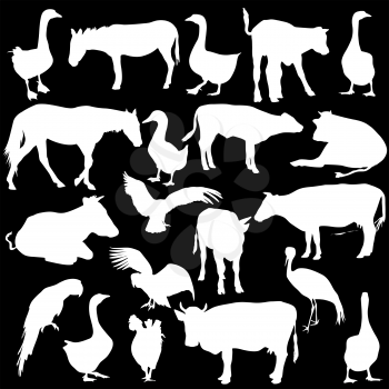 Black set silhouettes  zoo animals collection on white background. Vector illustration.