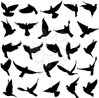 Concept of love or peace. Set of silhouettes of doves. Vector illustration.