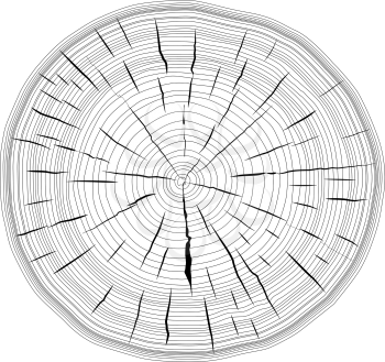 Tree rings saw cut tree trunk background. Vector illustration.