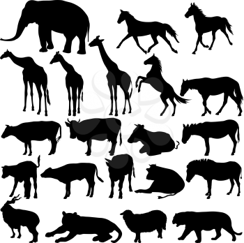 Set  silhouettes animals in zoo collection on a white background. Vector illustration.