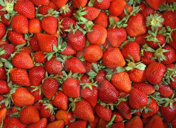 background from freshly harvested strawberries