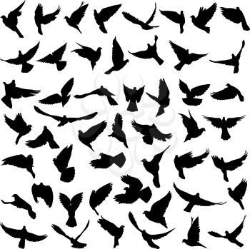 Concept of love or peace. Set silhouettes doves. Vector illustration.