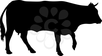 Black silhouette of cash cow on white background.