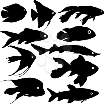 Black set silhouette of aquarium fish on white background.