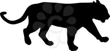 Silhouette of the lioness on a white background.