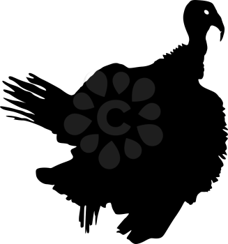 Silhouette black turkey on a white background.