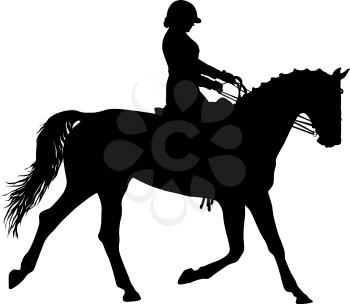 The black silhouette of horse and jockey.