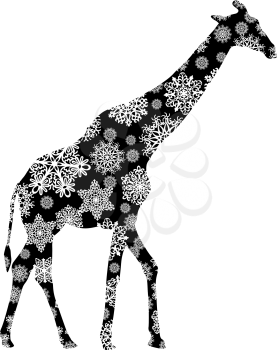 Christmas card giraffe in snowflakes on a white background.