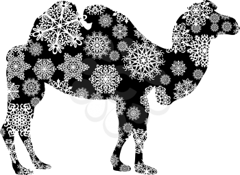 Christmas card camel in snowflakes on a white background.