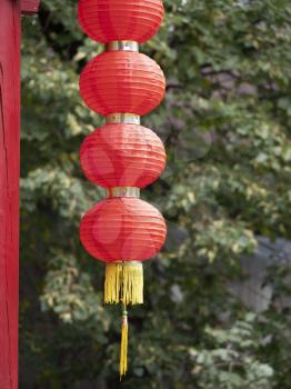 Hanging red lantern on the tree leaf background.