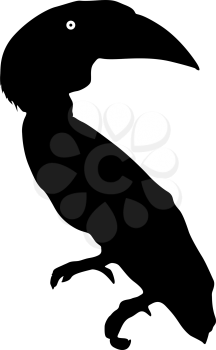 Silhouette of the bird toucan on a white background.