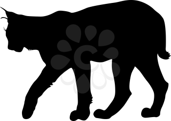 Silhouette of the Lynx on a white background.