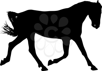 Animal silhouette of black mustang horse illustration.
