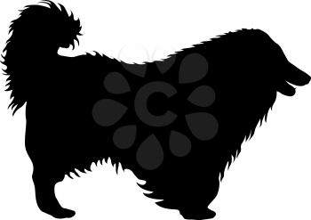 Airedale terrier dog silhouette on a white background.