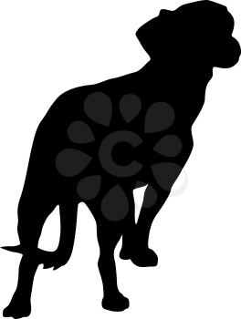 Toy Fox terrierdog silhouette on a white background.