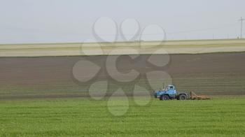 Blue wheeled tractor plowing a green field.