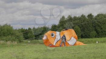 MOSCOW - AUGUST 27: Feast of kites, the fish in the park on August 27, 2017 in Moscow, Russia.