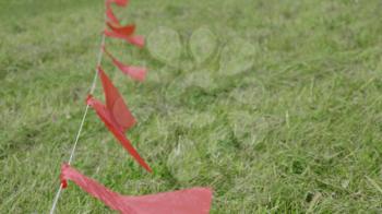 Red flags fluttering in the wind, against a background of green grass.