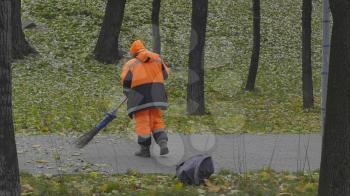 Worker sweeps autumn leaves with a broom from the sidewalk.