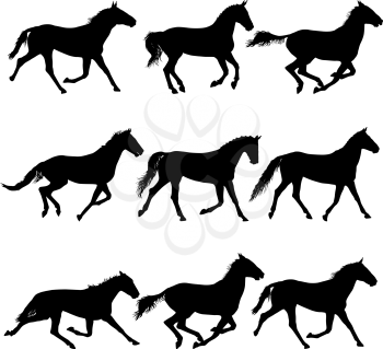 Set animal silhouette of black mustang horse illustration.