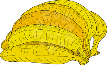 Sketch silhouette sketch bananas on white background illustration.