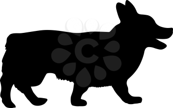 Welsh Corgi dog silhouette on a white background.