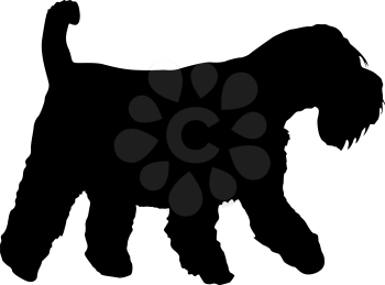Airedale dog black silhouette on white background.