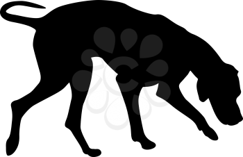 Doberman pinscher dog black silhouette on white background.