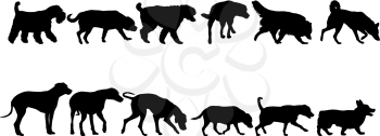 Set silhouette domestic dog on a white background.