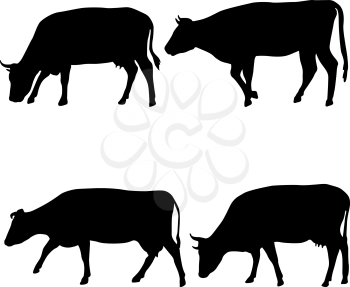 Black set silhouette of cash cow on white background.