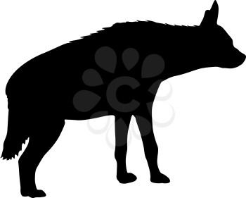 Silhouette of the potted hyena on a white background.